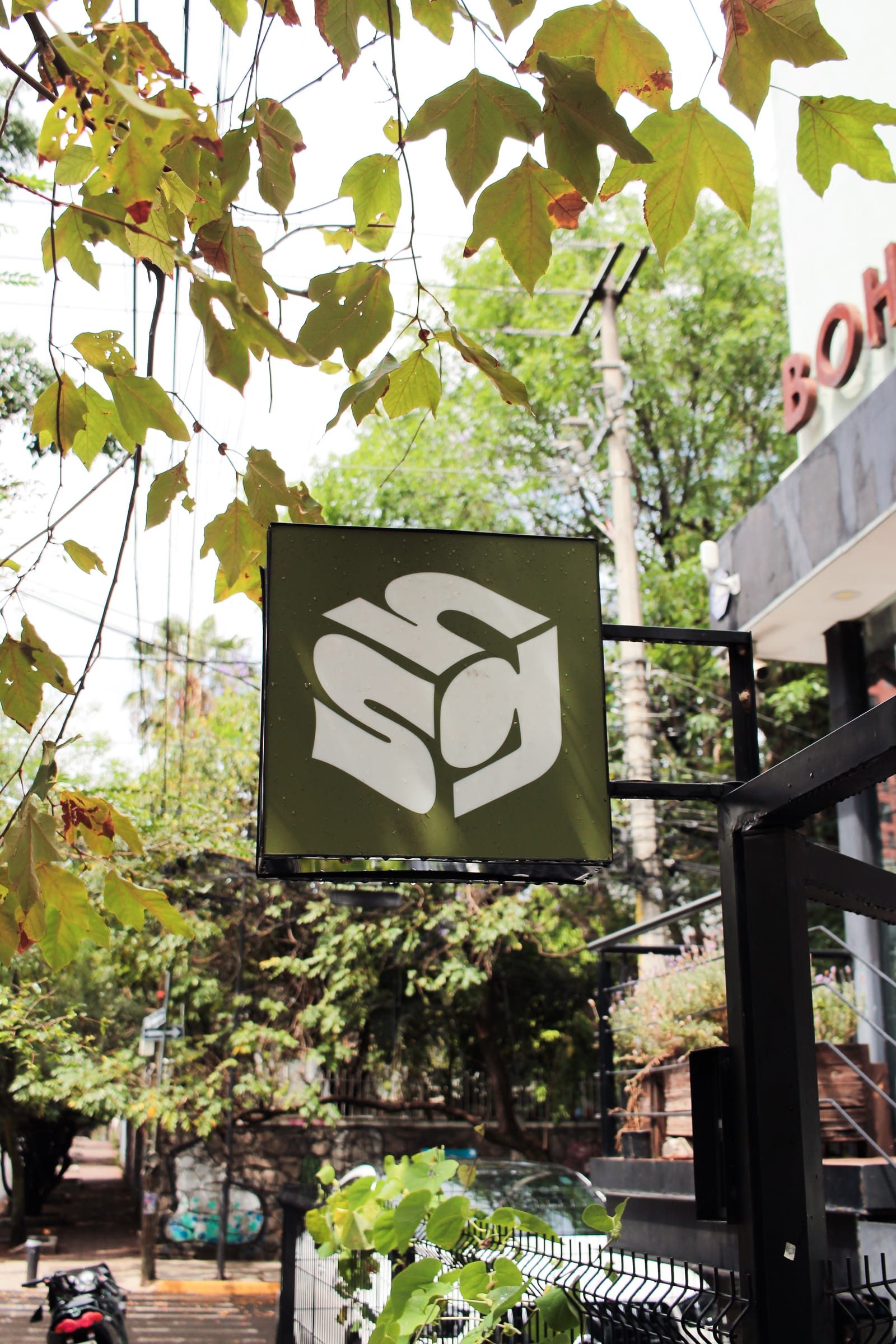 Letrero colgante de Sinergia Café con el cubo del logo entre las hojas de un árbol