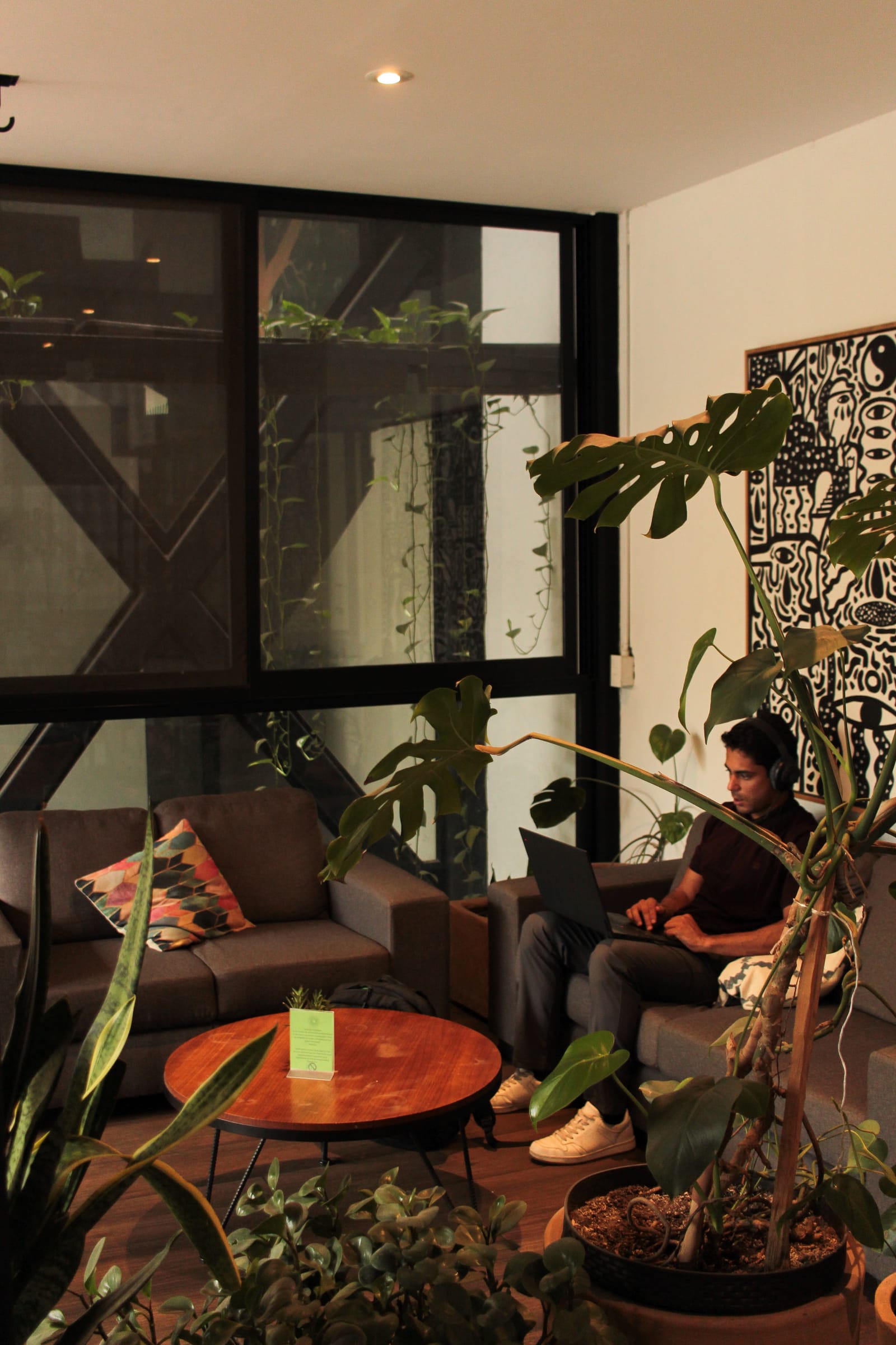 Sala con sillones, plantas y alguien trabajando con su laptop en Sinergia